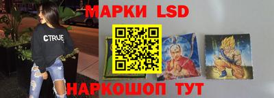 гидропоника Пенза