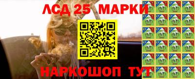 гидропоника Пенза
