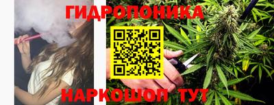 стафф Партизанск