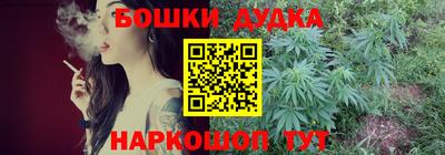 гидропоника Пенза