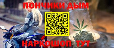 гидропоника Пенза