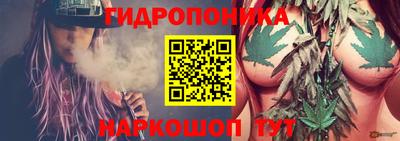 стафф Партизанск