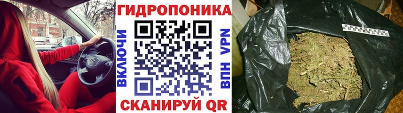как найти наркотики  Сочи  Бошки марихуана планчик 